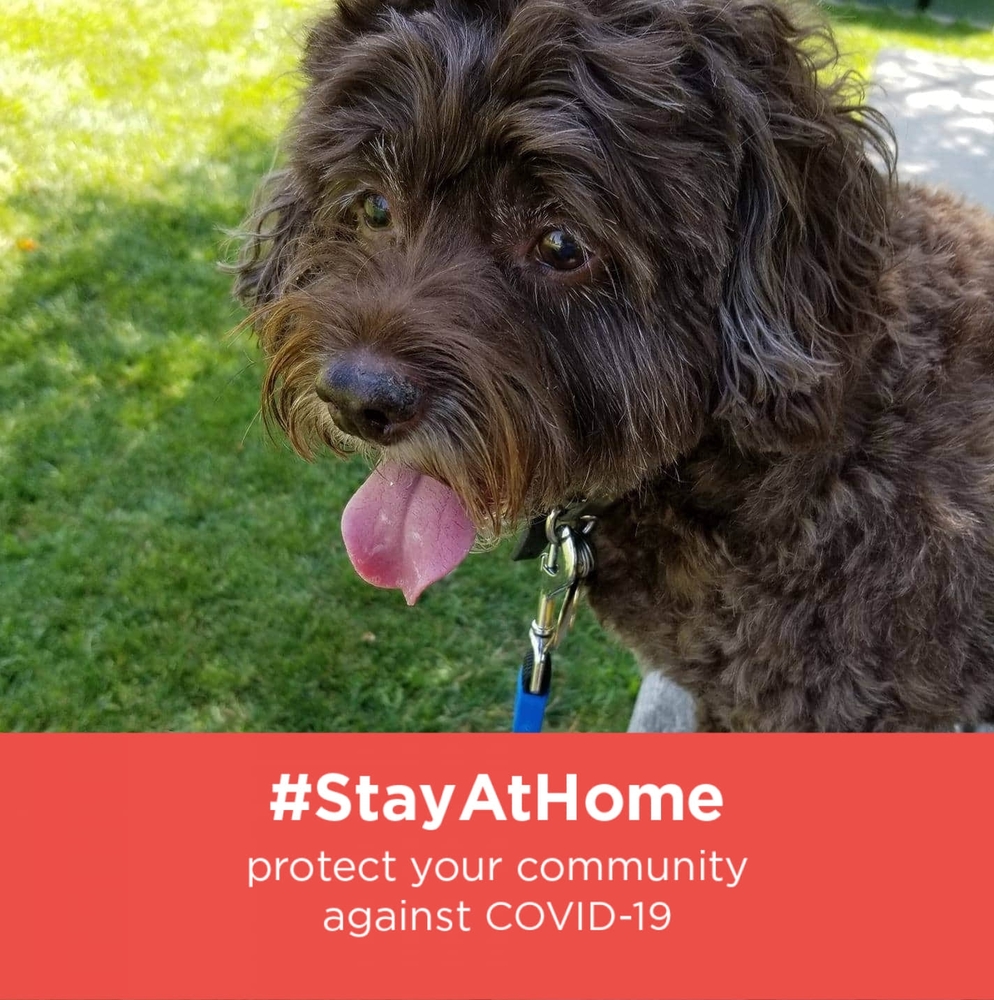 Meet your Posher, Sherry